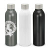 Promotional Vacuum Insulated Bottle 500ml