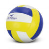 Pro Volleyball - Image 3