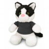 Cat Toy
