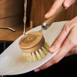EcoWash Dish Brush