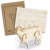 Wood Sheep Models