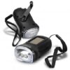 Solar Dynamo Light
