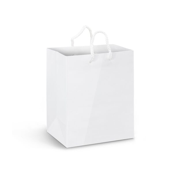 Medium Paper Carry Bags Laminated - Image 3
